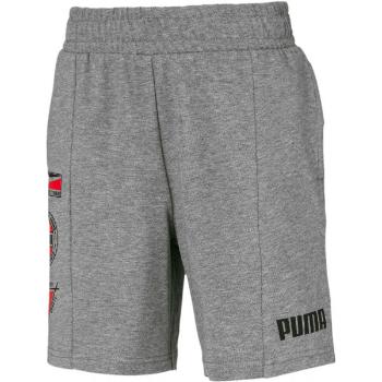 Puma ALPHA SUMMER SHORT Dětské sportovní šortky, šedá, velikost 128