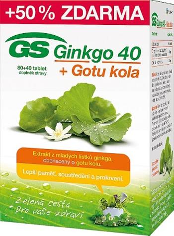 GS Ginkgo 40 + Gotu kola 120 tablet