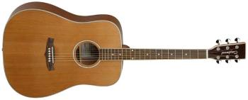 Tanglewood TW28 CSN