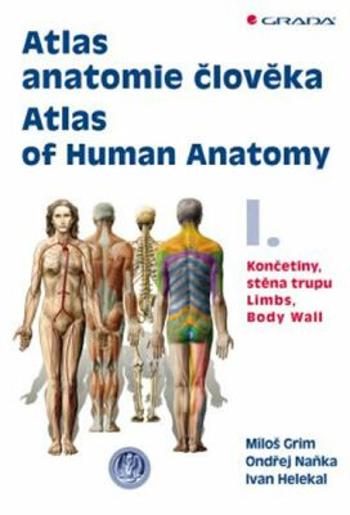 Atlas anatomie člověka I. - Končetiny, stěna trupu / Atlas of Human Anatomy I. - Limbs, Body Wall - Ondřej Naňka, Miloš Grim, Ivan Helekal