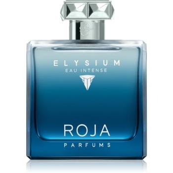 Roja Parfums Elysium Eau Intense parfémovaná voda pro muže 100 ml