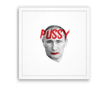 Fotoobraz 40x40 cm Pussy Putin