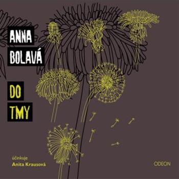 Do tmy - Anna Bolavá - audiokniha