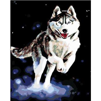 Diamondi - Diamantové malování - HUSKY, 40x50 cm, bez rámu a bez vypnutí plátna (603931A)