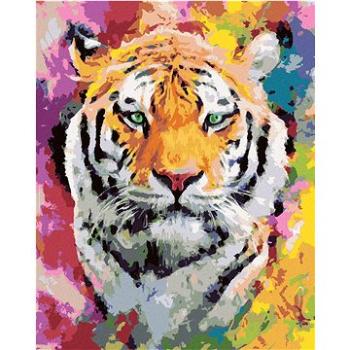 Malování podle čísel - Tygr v barvách (HRAbz33232nad)