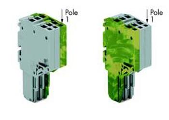 2vodičová pružinová lišta, WAGO 2020-203/000-036, 11.2 mm x 40.5 mm , 50 ks