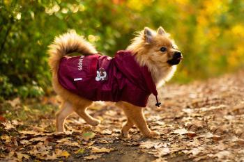 Vsepropejska Winter bunda pro psa s kapucí Barva: Hnědá, Délka zad (cm): 30, Obvod hrudníku: 32 - 54 cm