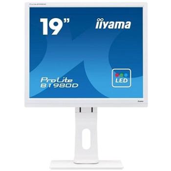 19" iiyama ProLite B1980D-W1 (B1980D-W1)