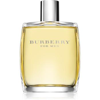 Burberry Burberry for Men toaletní voda pro muže 100 ml