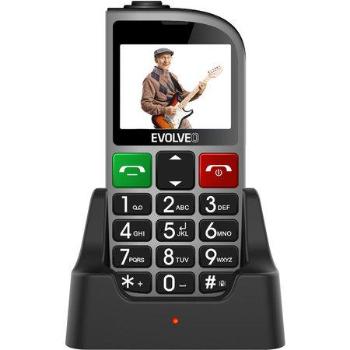 EVOLVEO EasyPhone FM, mobilní telefon pro seniory s nabíjecím stojánkem (stříbrná barva)