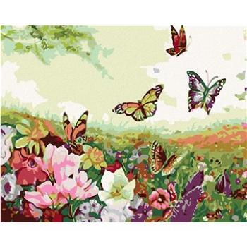 Malování podle čísel - Louka plná motýlů (HRAmal00230nad)