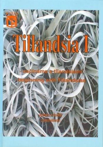 Tillandsia I - Lukscheiter Ondřej