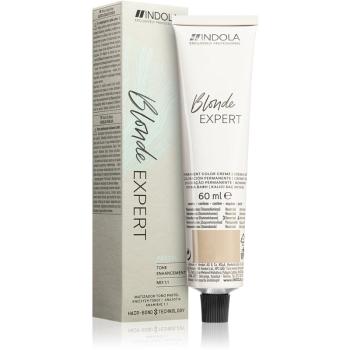 Indola Blond Expert Pastel tónovací barva na vlasy odstín P.17 60 ml