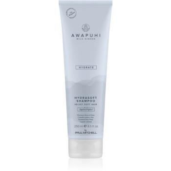 Paul Mitchell Awapuhi Wild Ginger HydraSoft Shampoo hydratační šampon 250 ml