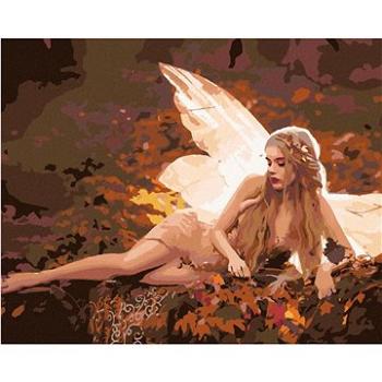 Malování podle čísel - Žena s motýlími křídly (HRAbz33241nad)