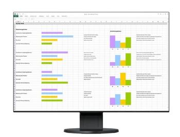 EIZO 24" EV2456-BK, 1920 x 1200, IPS,16:10, 5ms, 350 cd/m2, 1000:1, DP/HDMI/DVI/Dsub, ultraslim 1 mm rám., černý, EV2456-BK