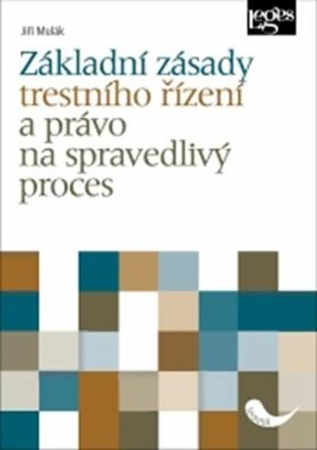 Základní zásady trestního řízení a právo na spravedlivý proces - Jiří Mulák