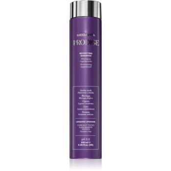 Medavita Prodige Revivifying regenerační šampon 250 ml