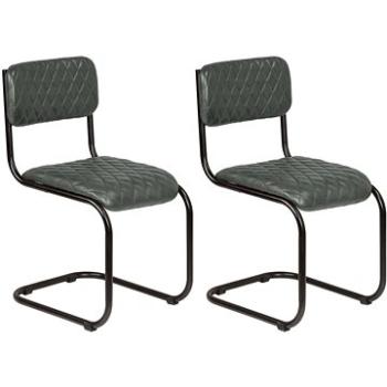 Jídelní židle 2 ks šedé pravá kůže (246378)