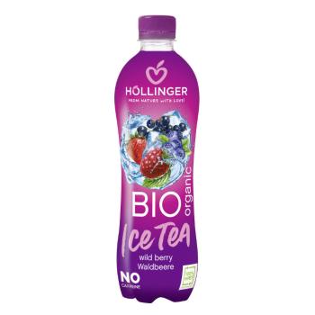 Nápoj s příchutí lesních plodů 500 ml BIO HOLLINGER