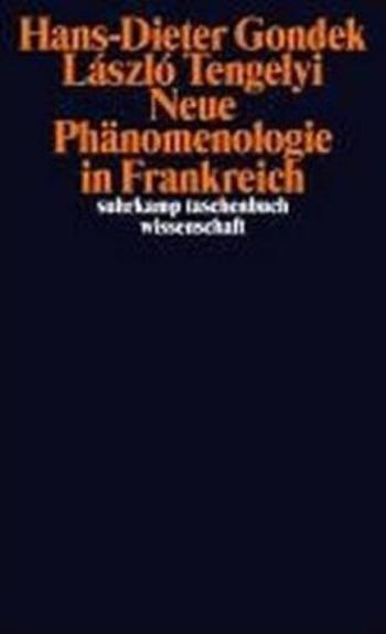 Neue Phänomenologie in Frankreich - Gondek Hans-Dieter, Tengelyi Laszlo