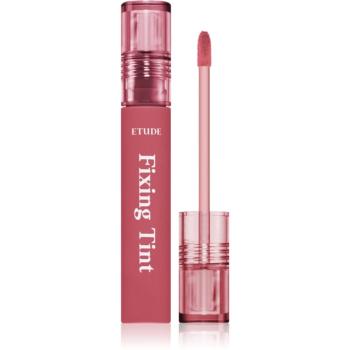 ETUDE Fixing Tint dlouhotrvající rtěnka s matným efektem odstín #07 Cranberry Plum 4 g