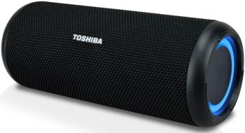 TOSHIBA TY-WSP201