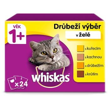 Whiskas kapsičky drůbeží výběr v želé pro dospělé kočky 24 x 100g (4770608253677)