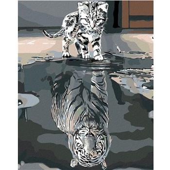 Malování podle čísel - Kotě nebo tygr (HRAmal00045nad)