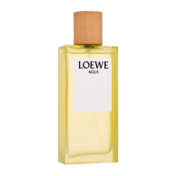 Loewe Agua 100 ml toaletní voda unisex