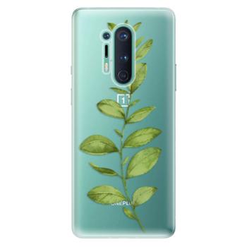 Odolné silikonové pouzdro iSaprio - Green Plant 01 - OnePlus 8 Pro