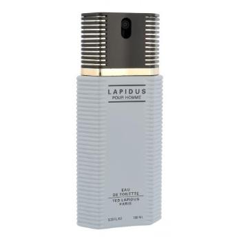 Ted Lapidus Lapidus Pour Homme 100 ml toaletní voda pro muže