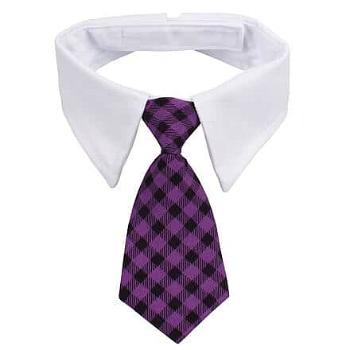 Gentledog kravata pro psy fialová Velikost oblečení: L
