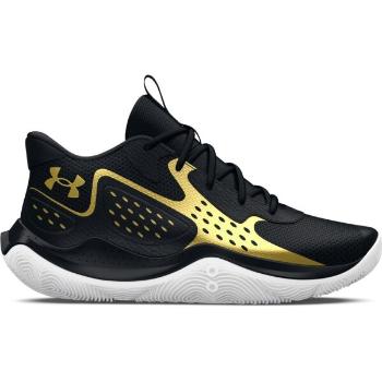 Under Armour JET23 Pánská basketbalová obuv, černá, velikost 41