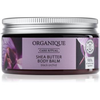 Organique Black Orchid vyživující tělový balzám s bambuckým máslem 100 ml