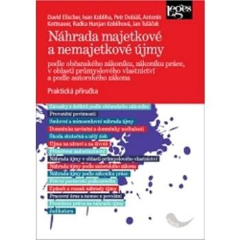 Náhrada majetkové a nemajetkové újmy: podle občanského zákoníku, zákoníku práce, v oblasti průmyslov (978-80-7502-382-7)