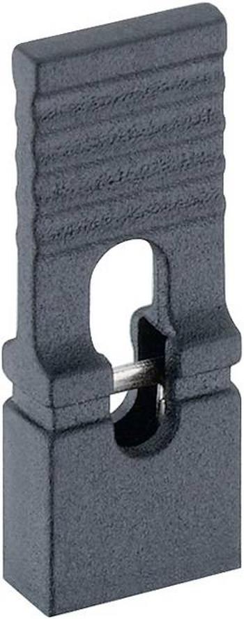 Zkratovací můstek Lumberg 4143 01 schwarz, Rastr (rozteč): 2.54 mm, černá, 1 ks