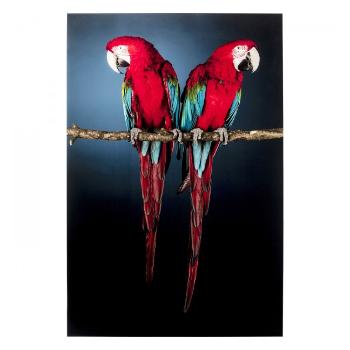 Skleněný obraz Twin Parrot 80 × 120 cm