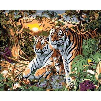 Malování podle čísel - Tygr s mláďaty (HRAmal00656nad)