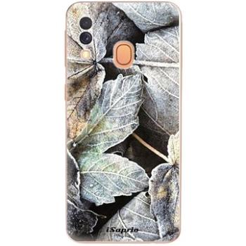 iSaprio Old Leaves 01 pro Samsung Galaxy A40 (oldle01-TPU2-A40)
