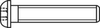 Čočkové šrouby s vnitřním šestihranem, ISO 7380, M4 x 30, 100 ks