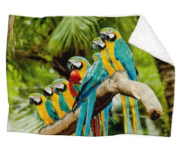 IMPAR Fleecová deka Papoušci 150x120 cm (Rozměr : 200 x 140 cm, Podšití beránkem: ANO)