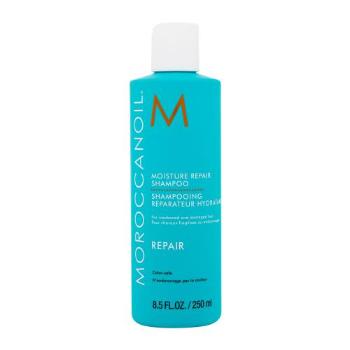 Moroccanoil Repair 250 ml šampon pro ženy na barvené vlasy; na poškozené vlasy; na suché vlasy