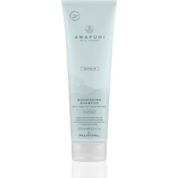 Paul Mitchell Awapuhi Wild Ginger Repair Nourishing Shampoo vyživující šampon pro obnovu a posílení vlasů 250 ml