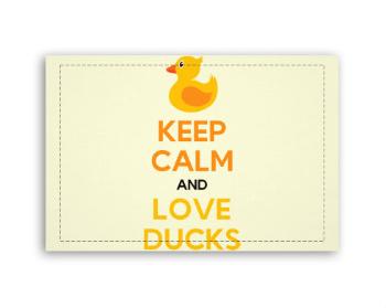 Fotoobraz 60x40 cm malý Keep calm and love ducks