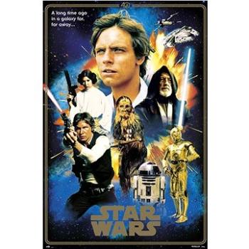 Star Wars - Hvězdné války - Heroes 40th Anniversary   - plakát (8435497204228)