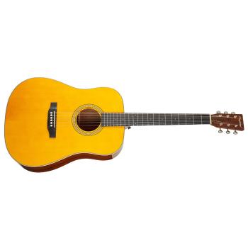 Tanglewood TW40 D AN E