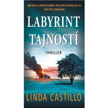 Labyrint tajností (978-80-243-9746-7)