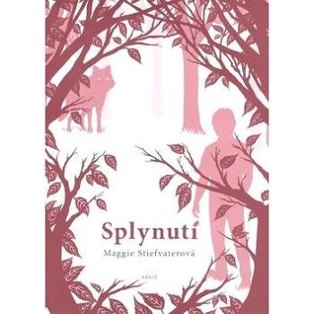 Splynutí (978-80-257-0514-8)