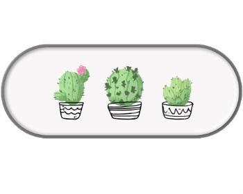 Penál Kaktusy